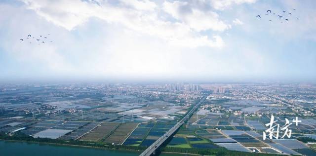 打品牌拓市場，三角生魚“游”出廣闊天地