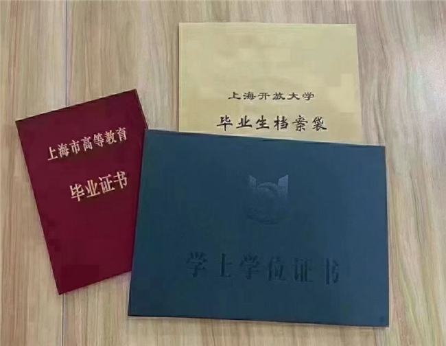 上海坦訓：準確導航上海落戶之路，全方面服務助力夢想實現