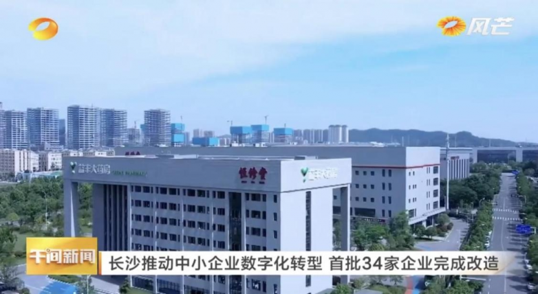 湖南衛視專訪恒修堂數字化飲片工廠，聚焦報道數字化轉型成效