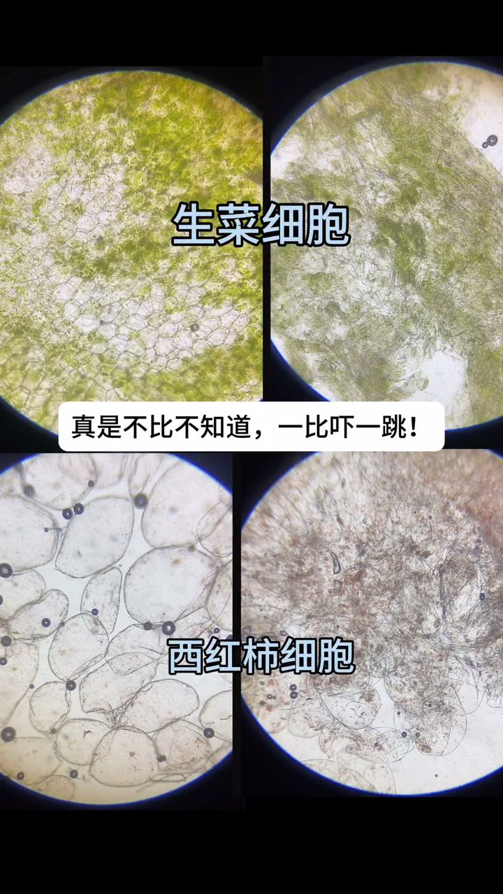 卡薩帝冰箱：將保鮮科技做到了細胞級養鮮才有了市場領先