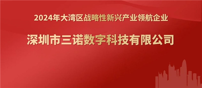 三諾數(shù)字入選“2024年大灣區(qū)戰(zhàn)略性新興產(chǎn)業(yè)領(lǐng)航企業(yè)”