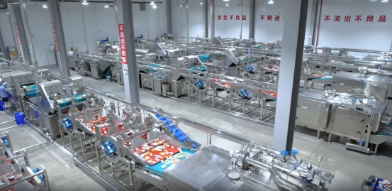 衛龍透明工廠：全鏈條守護，打造品質食品的新標桿