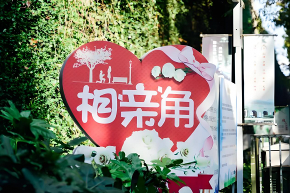 從精準匹配到家長對聊，尋緣相親如何成為單身人士的"幸福橋梁"？