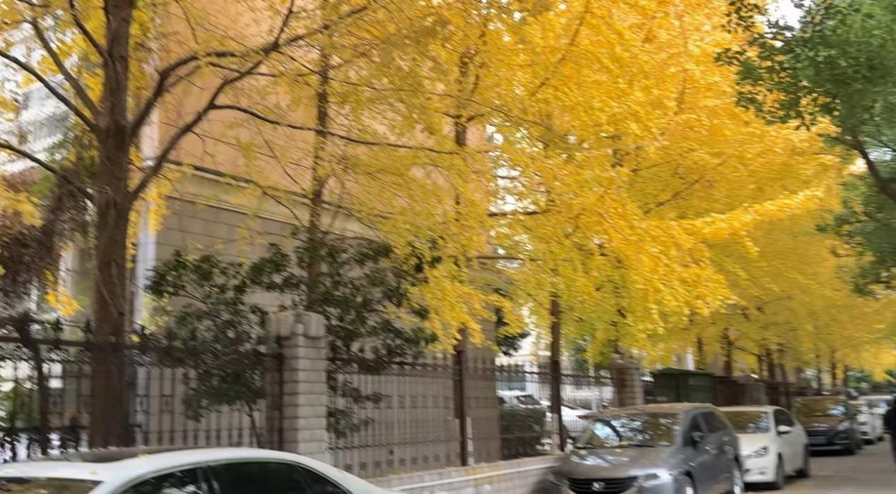 江蘇百瑞贏：清明假期—傳承文化，擁抱春日美好