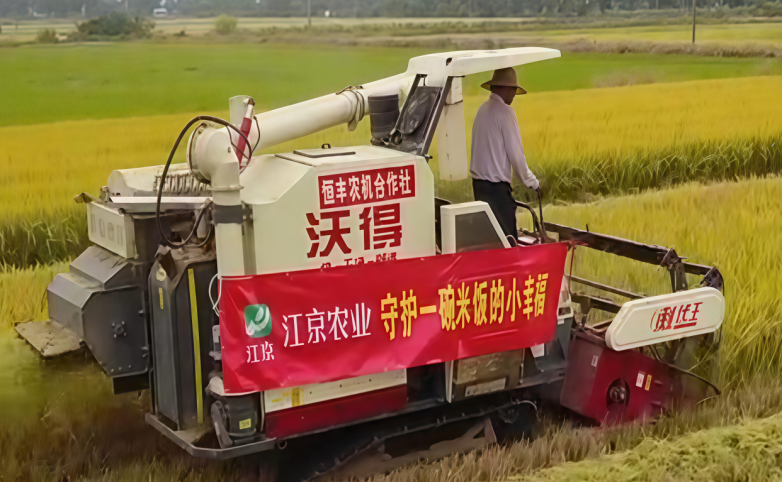 江京農業|以匠心鑄品質，讓優質大米香飄萬家
