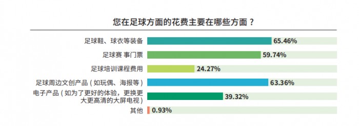 《中國足球環境及未來發展白皮書（2025）》發布：100吋大屏電視成球迷客廳新標配