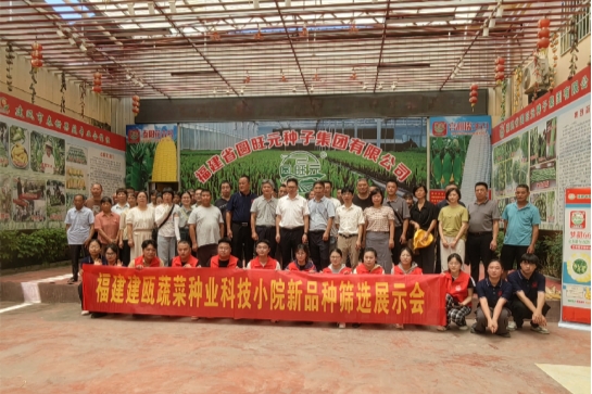 福建建甌蔬菜種業(yè)科技小院新品種篩選展示會(huì)成功舉辦