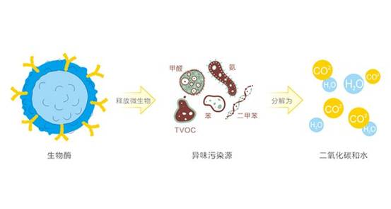 2025除甲醛產(chǎn)品品牌如何選擇？深度實(shí)測(cè)