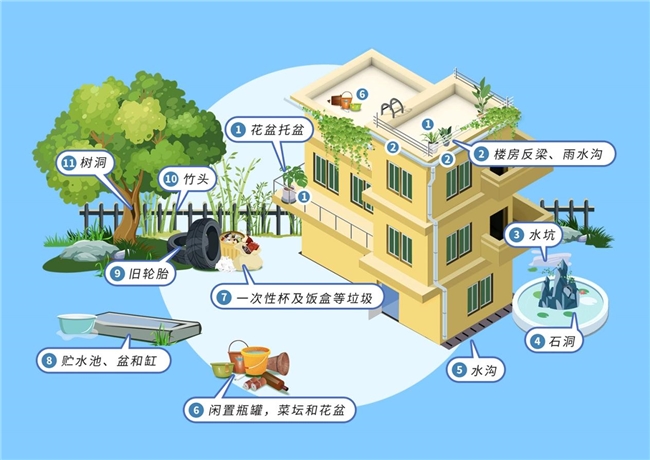 基孔肯雅熱防控關鍵：欖菊防蚊產品打造高效科學防護網