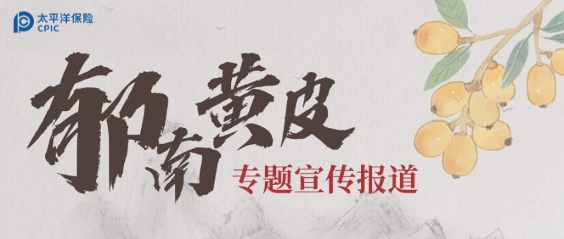 保險護航 金融賦能:太平洋保險助力 郁南黃皮產業高質量躍升