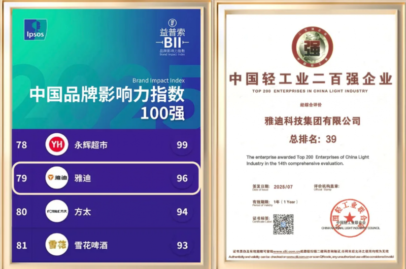 行業唯一！雅迪一舉斬獲兩項TOP級榮譽，再獲權威認可