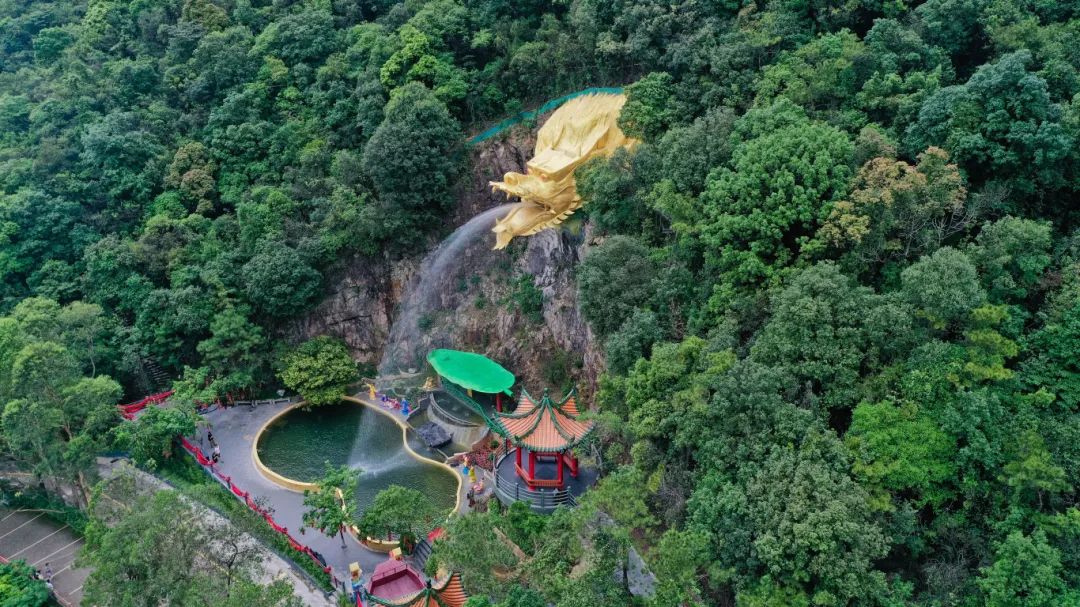 東莞觀音山：踐行“兩山”理念的綠色典范